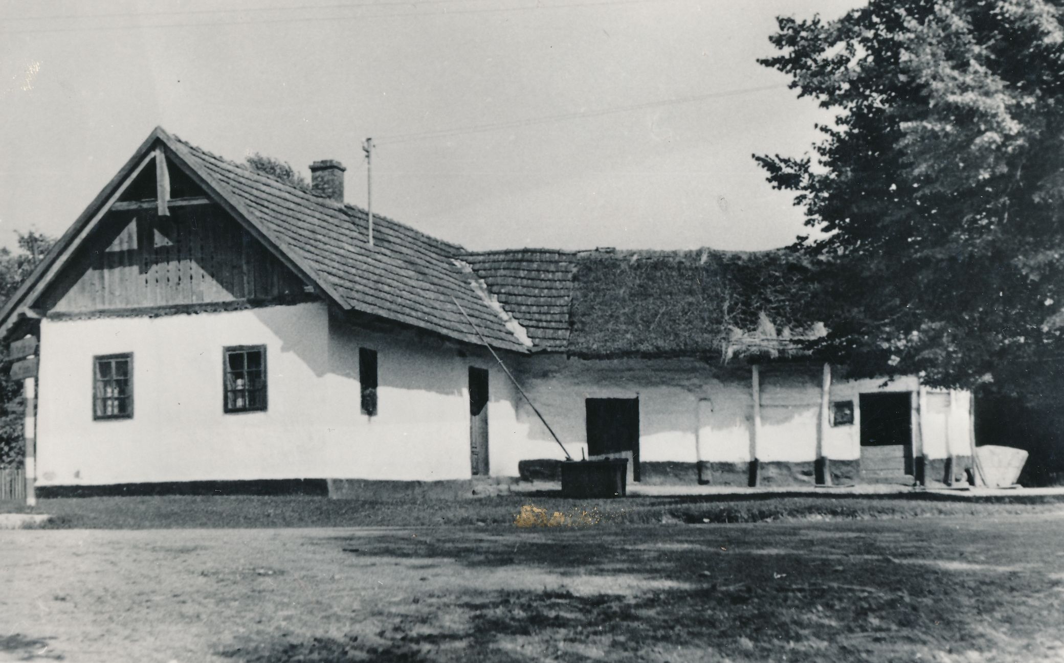 eika image